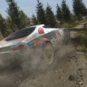 dirt3_large.jpg